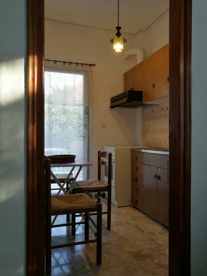 Anastasias Central Apartment Litóhoro Kültér fotó